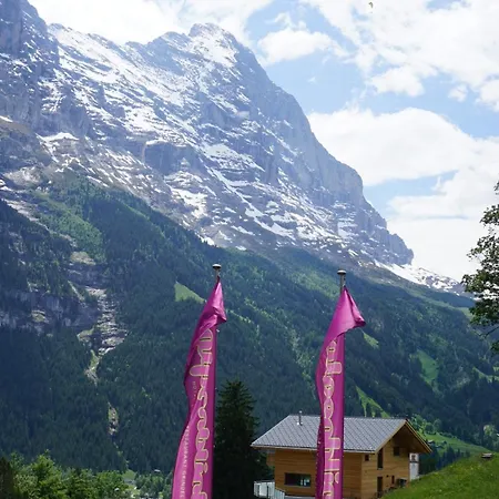 Πανδοχείο Alpenblick 3*