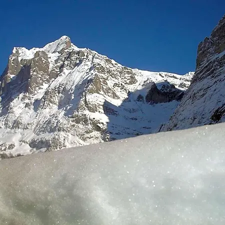 Inn Alpenblick Grindelwald