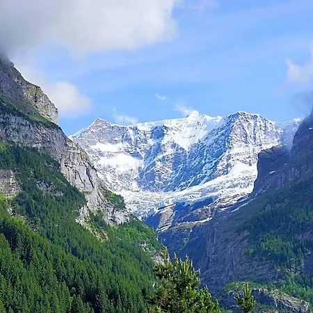 Alpenblick Inn 3*
