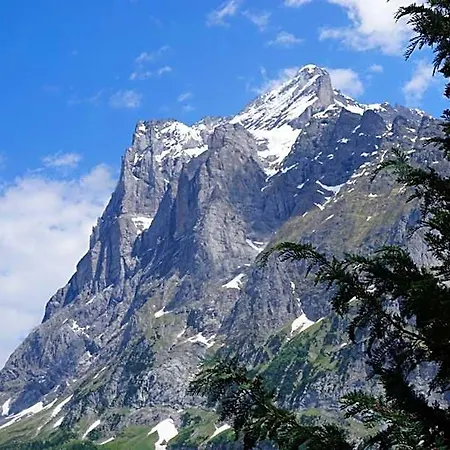 Alpenblick Inn 3*
