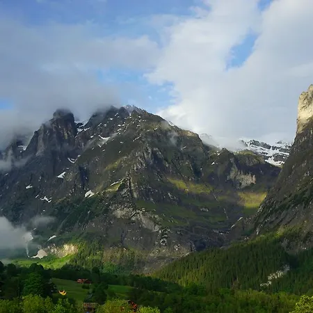Alpenblick 3* Γκρίντελβαλντ