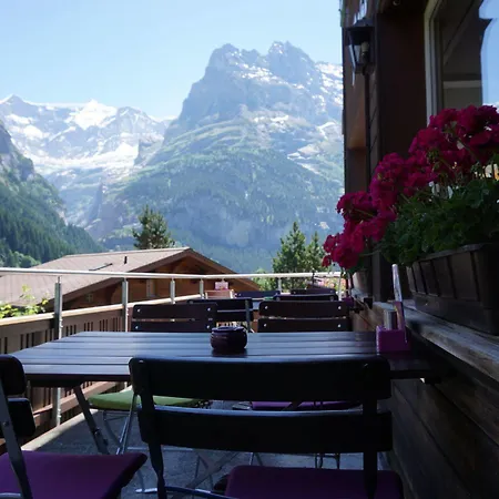 Alpenblick Inn 3*