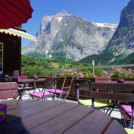 Alpenblick 3* Γκρίντελβαλντ