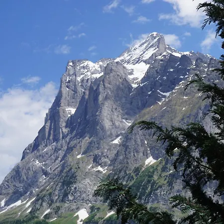 Alpenblick 3*