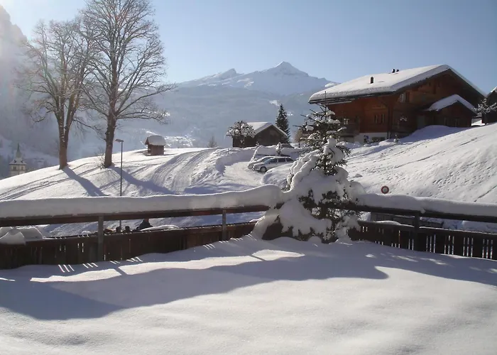 Alpenblick Grindelwald