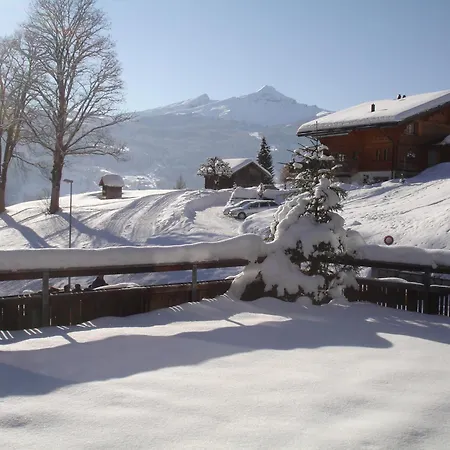 Alpenblick Grindelwald